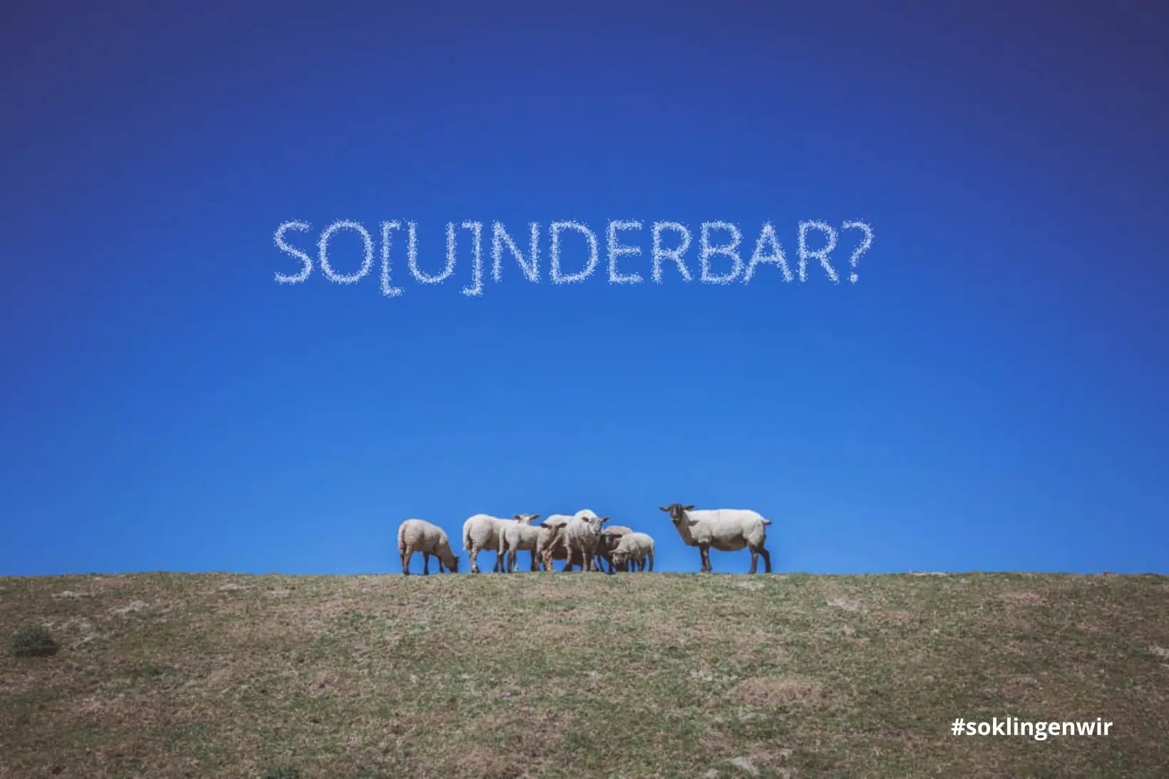sounderbar teaser